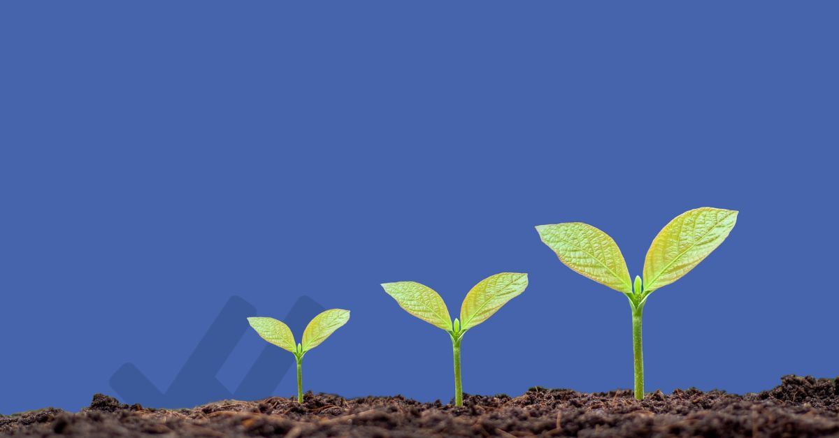 Scopo di un sistema di gestione ambientale ISO 14001