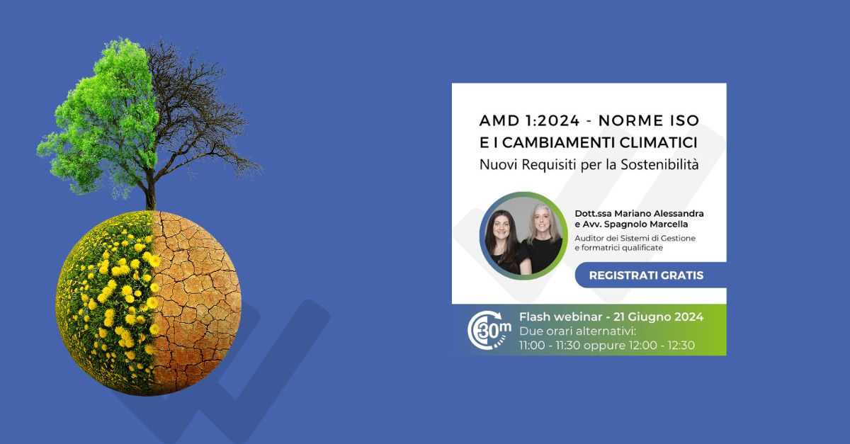 Flash webinar AMD 1:2024 – Norme ISO e Cambiamenti Climatici