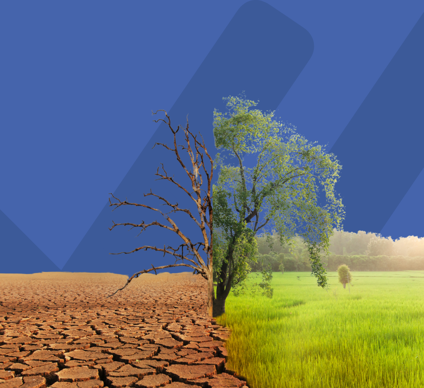 ISO 22000 e cambiamenti climatici, come interpretare le indicazioni dell'Addendum