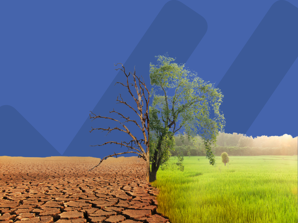 ISO 22000 e cambiamenti climatici, come interpretare le indicazioni dell’Addendum
