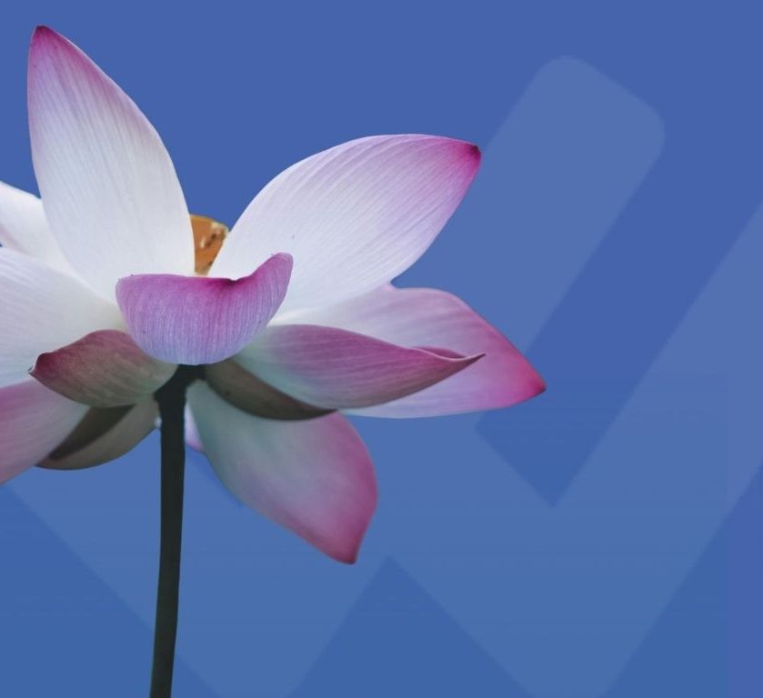 Nuova ISO 14001:2026 - Cosa cambia rispetto al 2015 e come prepararsi alla nuova norma