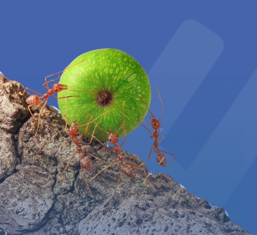 Nuova ISO 45001:2027- la revisione in corso e i principali cambiamenti in arrivo