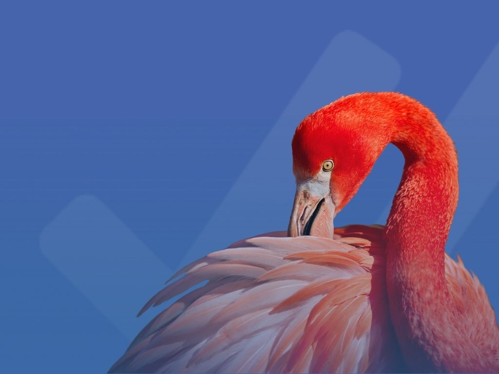 FAQ 2026 UNI/PdR 125: perché le nuove interpretazioni cambiano il modo di affrontare la certificazione