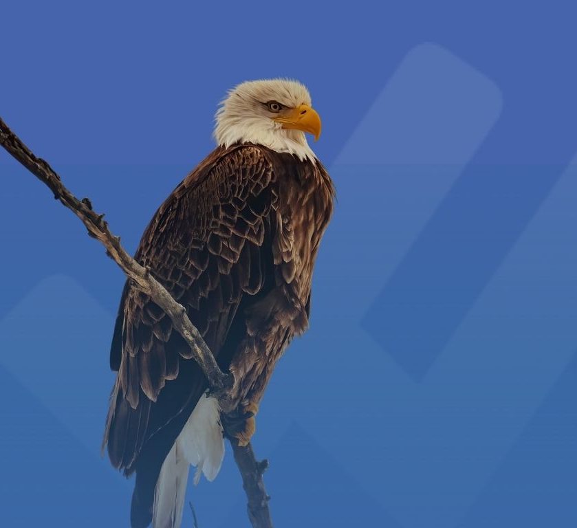 ISO/DIS 19011:2025 – Come cambiano le tecniche di audit