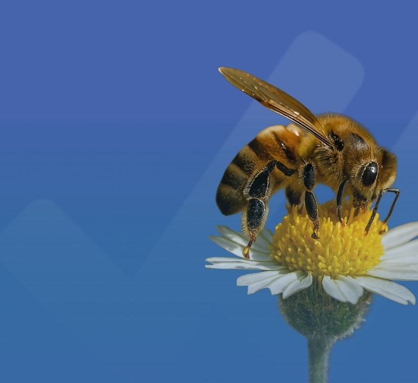 Audit ISO 13485 e nuovo QMSR: cosa è cambiato da febbraio 2026