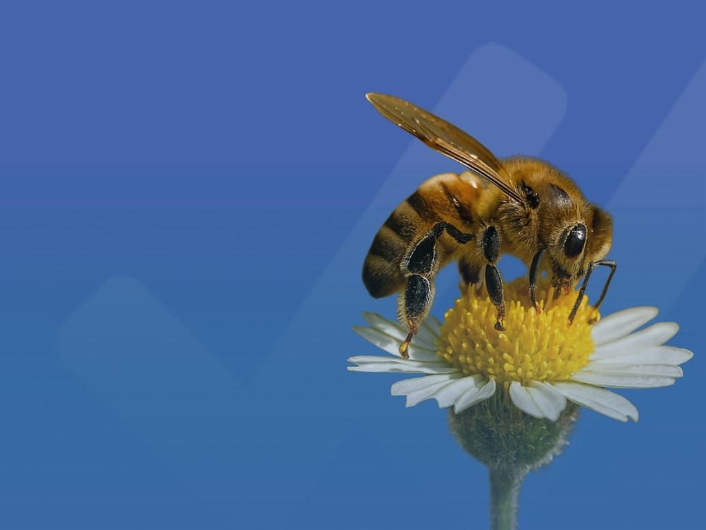 Audit ISO 13485 e nuovo QMSR: cosa è cambiato da febbraio 2026