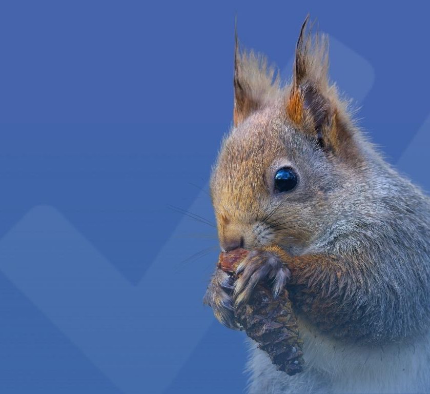 Richiami alimentari e cronaca: cosa insegna la ISO 22000 alle aziende