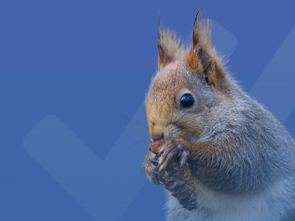 Richiami alimentari e cronaca: cosa insegna la ISO 22000 alle aziende