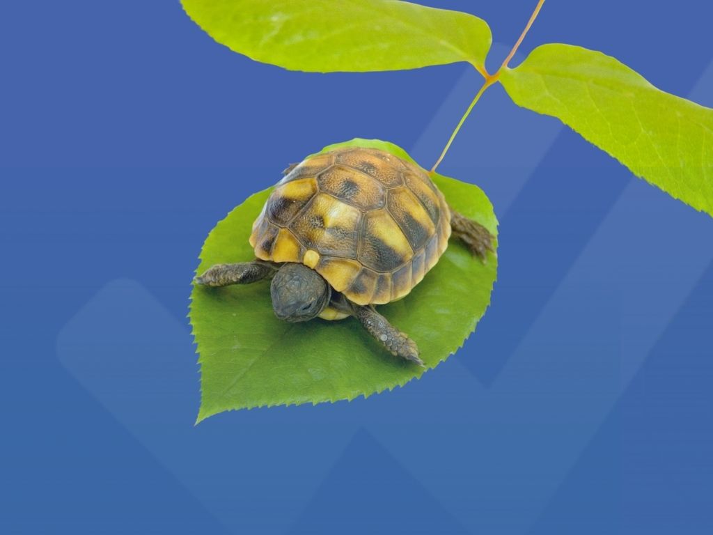 NIS2 e ISO 27001: come cambia la sicurezza delle informazioni