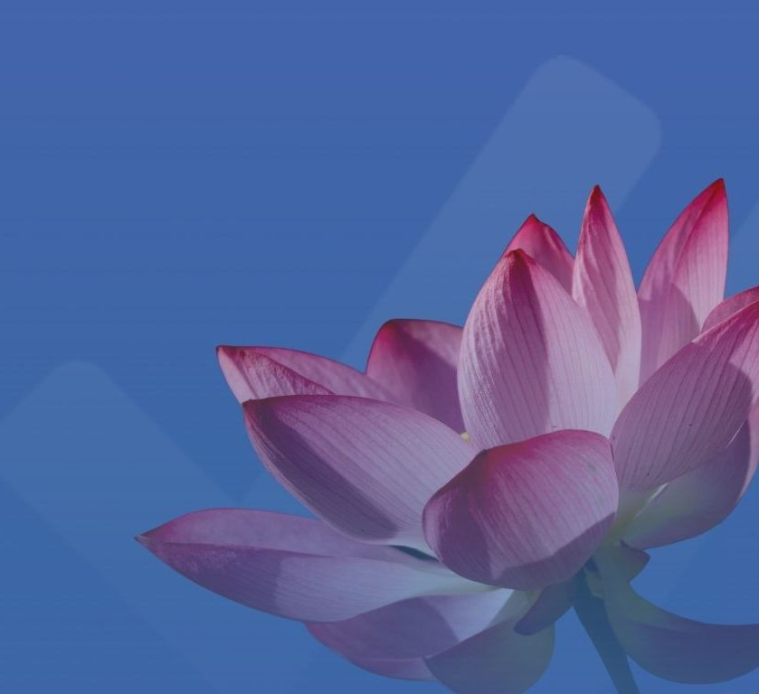 15 Aprile 2026: pubblicata la nuova edizione della ISO 14001:2026