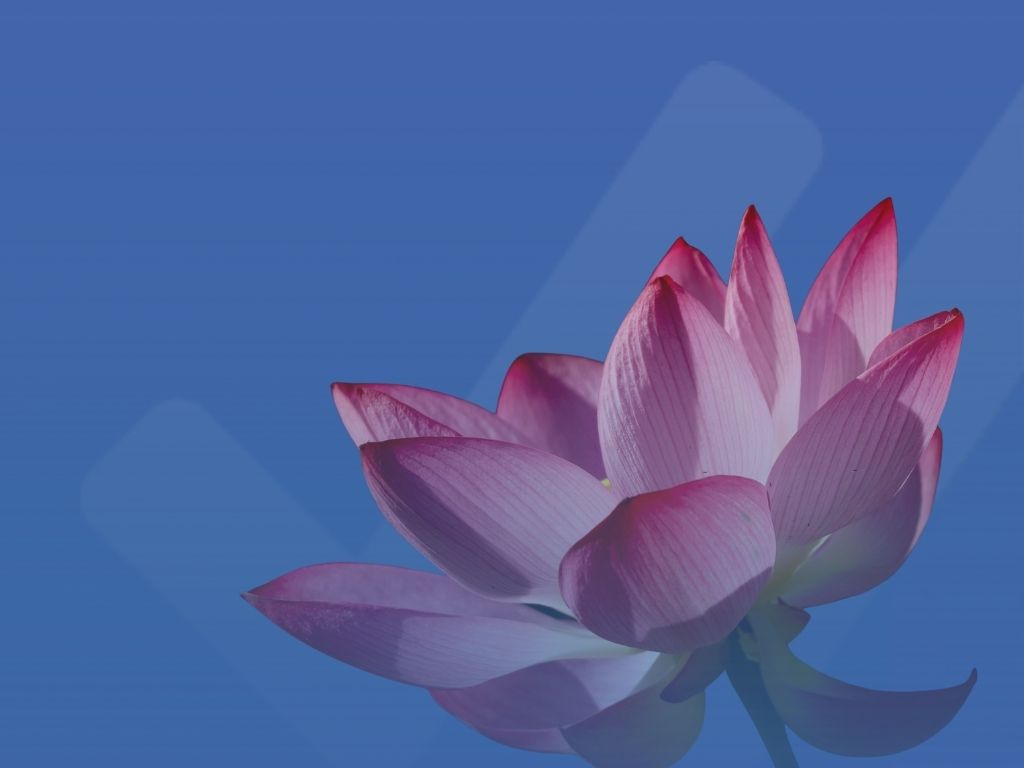 15 Aprile 2026: pubblicata la nuova edizione della ISO 14001:2026